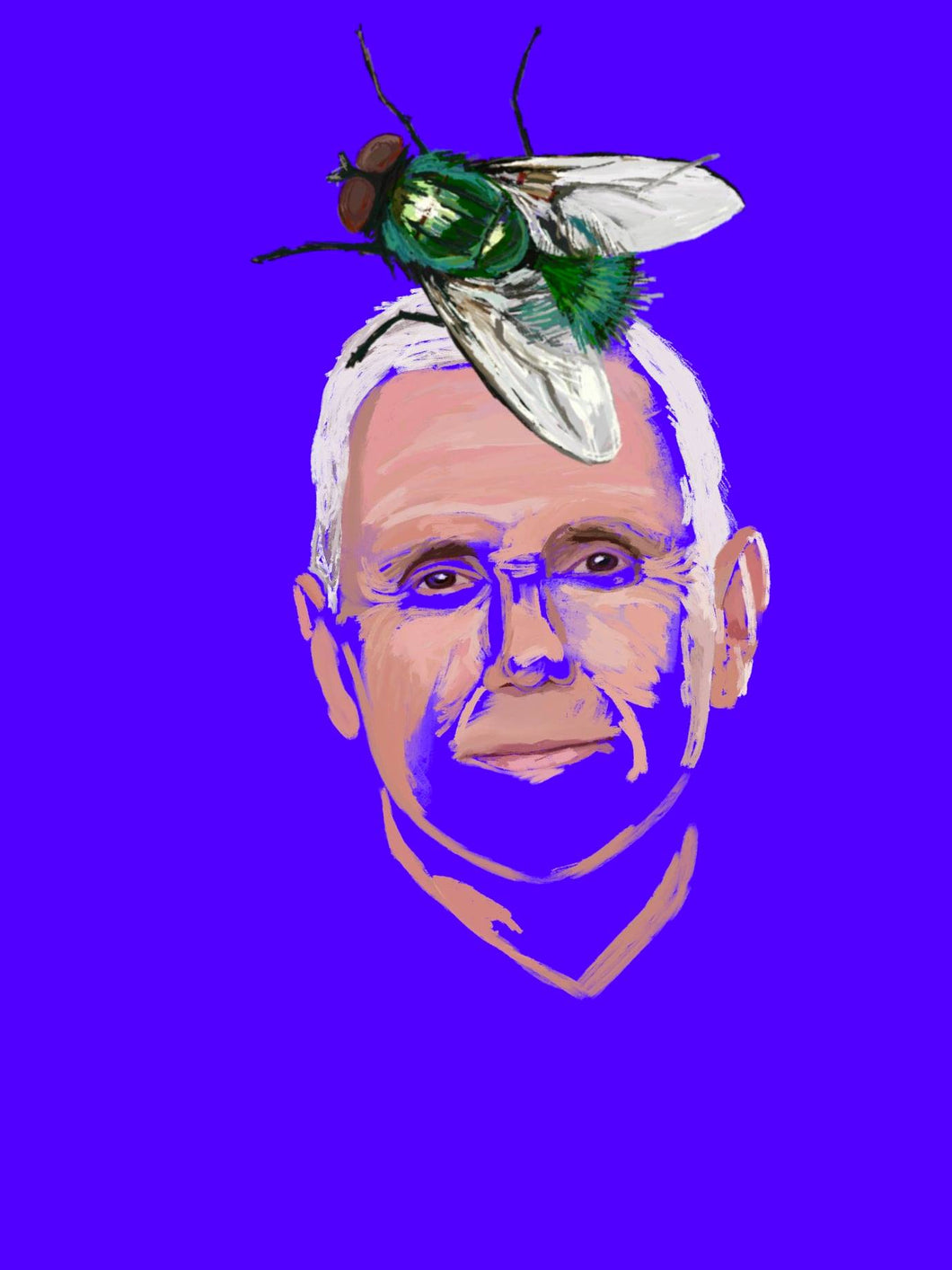 Pence Fly